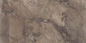 Керамогранит Ariana PF60004405 Epoque Brown Ret 60x120 фото