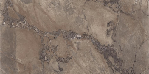 Керамогранит Ariana PF60004405 Epoque Brown Ret 60x120