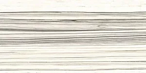 Глазурованный керамогранит Lafaenza Ceramica Aesthetica AeZeb612Lp 60x120 фото