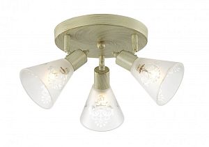 Спот Favourite 1794-3U фото