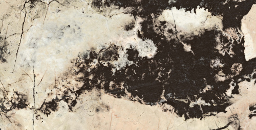 QUA Granite Fenomen 120x60 черный полированная фото 4