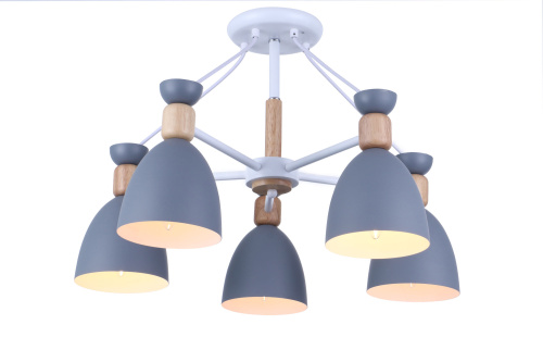 Потолочный светильник Freya FR5033CL-05W фото 4