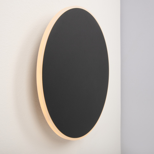 Настенный светильник (бра) Freya FR6002WL-L20B фото 3