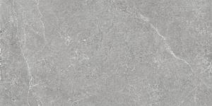 Керамогранит Argenta Storm 8435592033693 Grey 60x120 CB фото