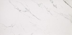 Глазурованный керамогранит Casalgrande Padana Marmoker 2460717 Statuario Grigio Lucido 59x118 фото