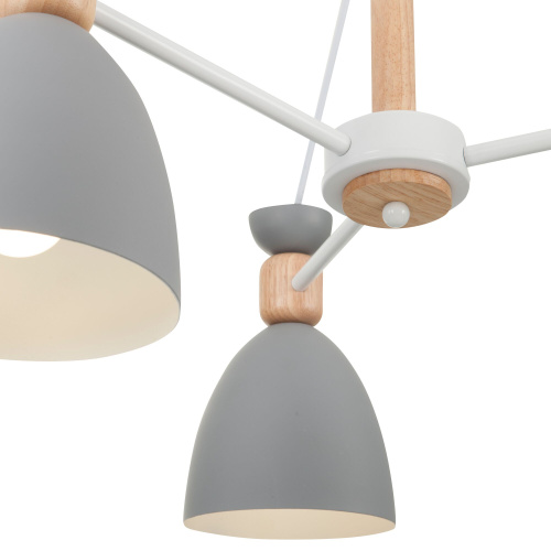 Потолочный светильник Freya FR5033CL-05W фото 2