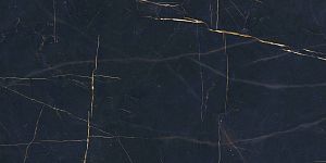 Керамогранит ABK PF60011000 Sensi 900 Precious Black Nat Ret 60х120 фото