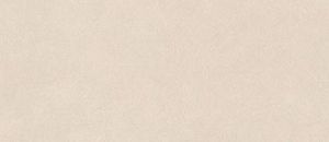 Керамогранит Atlas Concorde Boost Natural A64P Kaolin 50х120 фото