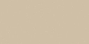 Керамогранит Croma Moka 49.1x98.2 фото