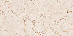 Керамогранит Colortile Rosalia Glossy 60x120 фото