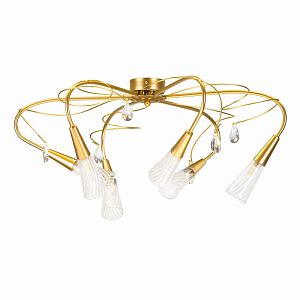 Накладная люстра Lightstar 711061 фото