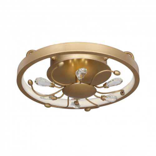 Накладной светильник Favourite 2534-2C