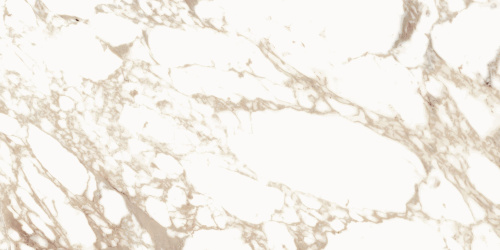 BIEN Calacatta Oro 120x60 бежевый полированная фото 6