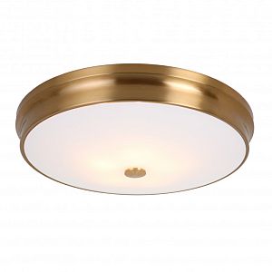 Накладной светильник Favourite 2375-5C фото