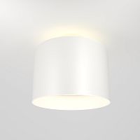 Потолочный светильник Maytoni Technical C009CW-L12W фото