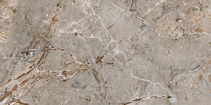 Керамогранит Ava Ceramica 163101 Marmo E Pietra Breccia Argentum Lapp Rett 60х120 фото