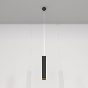 Подвесной светильник Maytoni Technical P072PL-L12B4K фото