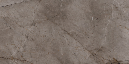 BIEN Root Ash 120x60 серый полированная