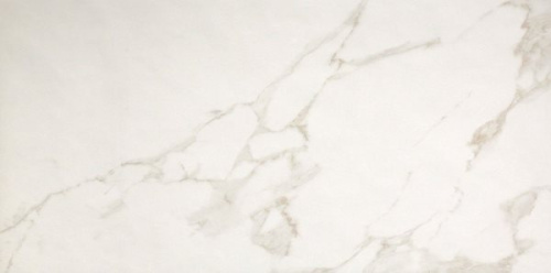 Керамогранит FAP Ceramiche fPP5 Roma Calacatta 50х120