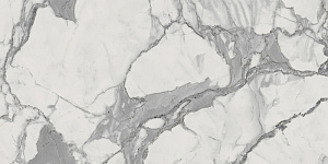 Italon Керамический гранит Charme Evo Floor Project Керамогранит Statuario 30x60 патинированный фото