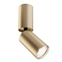 Потолочный светильник Maytoni Technical C051CL-01G фото