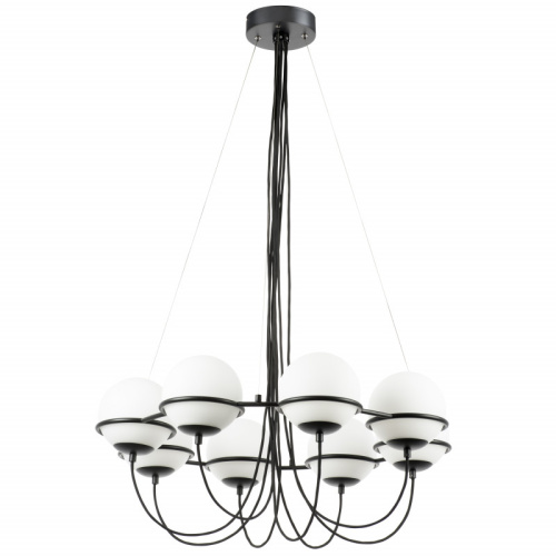 Подвесная люстра Lightstar 803287