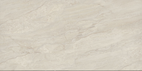 BIEN Daino Lienzo Bone 120x60 серый полированная фото 3