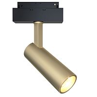 Трековый светильник Maytoni Technical TR019-2-10W4K-MG фото