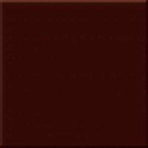 Плитка ABS0301 Marron Milano Brillo 10х10 фото