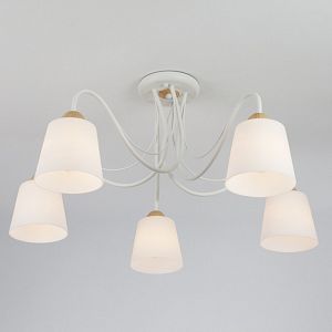 Люстра на штанге Eurosvet 70062/5 белый фото