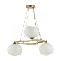 Подвесная люстра Odeon Light 4873/3 фото