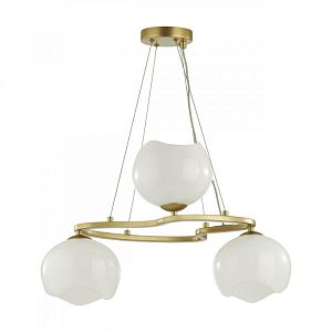 Подвесная люстра Odeon Light 4873/3 фото