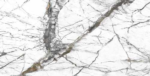 QUA Granite Pole 120x60 белый полированная фото 4