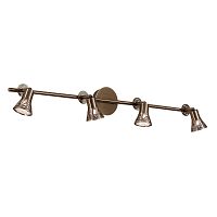 Спот Citilux CL519543 фото