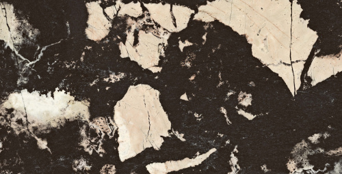 QUA Granite Fenomen 120x60 черный полированная фото 5