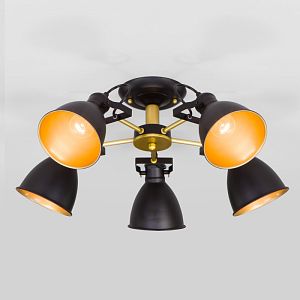 Люстра на штанге Eurosvet 70112/5 черный фото