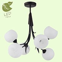 Люстра на штанге Lussole GRLSF-6293-06 фото