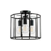 Люстра на штанге Lightstar 798237 фото