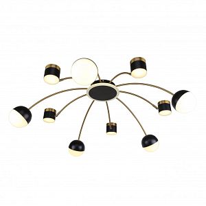 Накладная люстра F-Promo 3096-10P фото