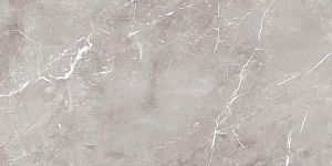 Керамогранит Ariana PF60004297 Epoque Grey Ret 60x120 фото