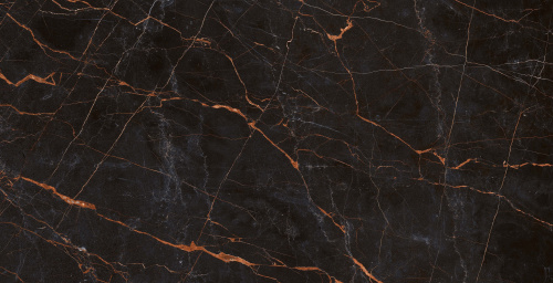 QUA Granite Fuego 120x60 черный полированная фото 6