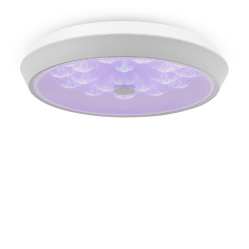 Потолочный светильник Freya FR10012CL-L24W фото 5