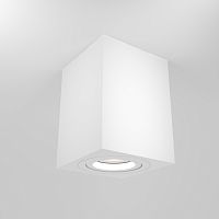 Потолочный светильник Maytoni Technical C017CL-01W фото