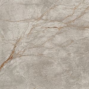 Керамогранит 610015000611 Empire Silver Root Lapp 80x80 фото