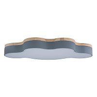 Детский светильник LOFT IT 10005/36 Grey фото