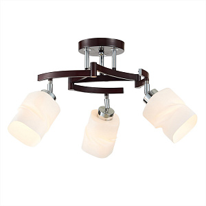 Люстра на штанге Citilux CL126132 фото