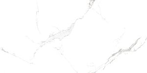 QUA Granite Bianco River 120x60 белый полированная фото