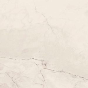 Керамогранит Lafaenza Ceramica Trex 120W RM White 120x120 фото