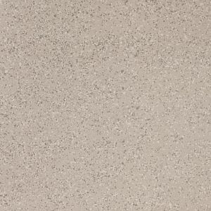 Керамогранит Imola Ceramica Parade PRDE 60AG LV 60x60 фото