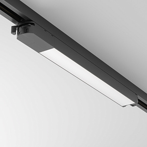 Трековый светильник Maytoni Technical TR000-1-12W3K-B фото